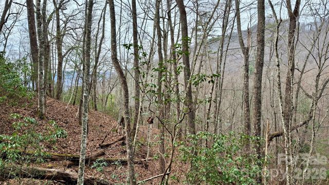 0 Hollywalk Trail 4, Sylva, NC 28779
