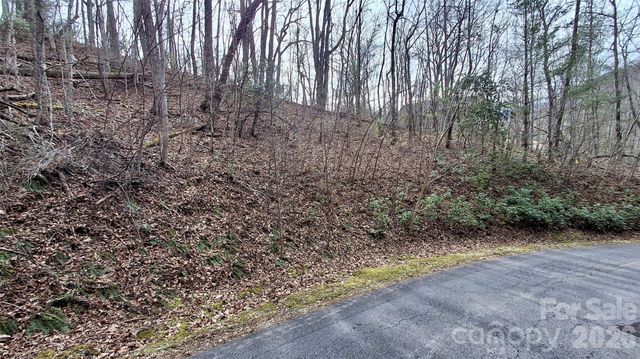 0 Hollywalk Trail 4, Sylva, NC 28779