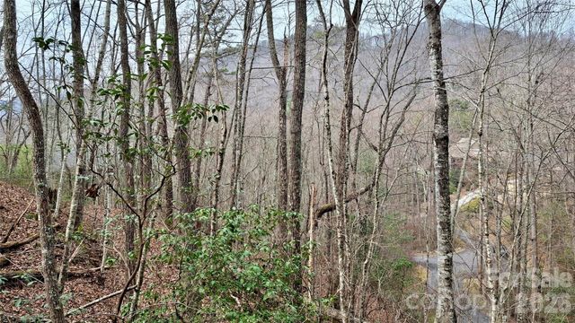 0 Hollywalk Trail 4, Sylva, NC 28779