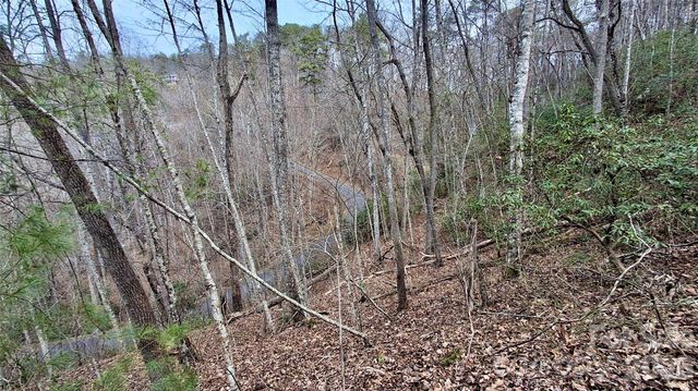 0 Hollywalk Trail 4, Sylva, NC 28779