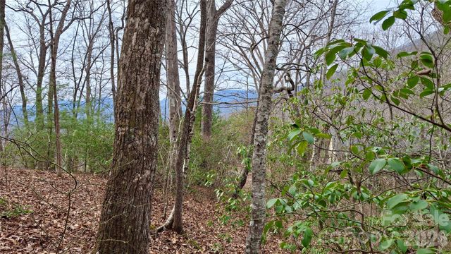 0 Hollywalk Trail 4, Sylva, NC 28779