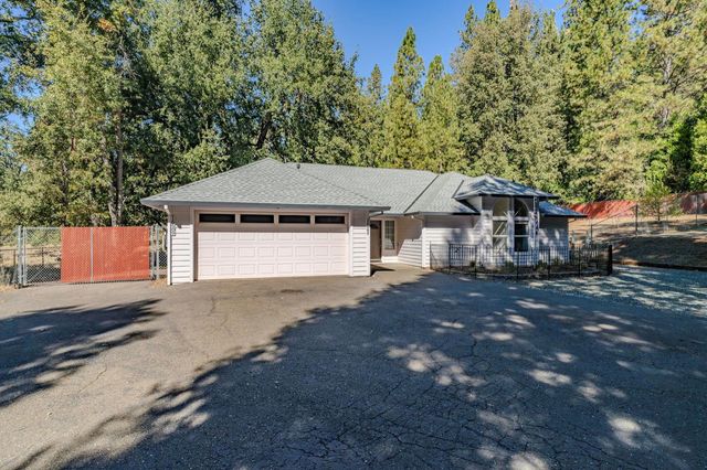 16689 Silver Pine Rd, Pioneer, CA 95666