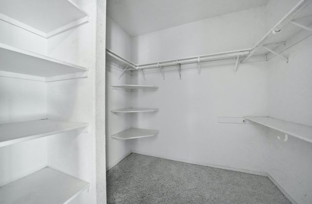 16689 Silver Pine Rd, Pioneer, CA 95666