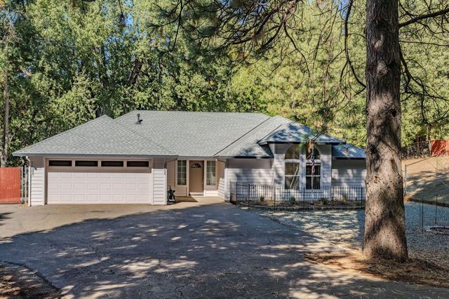 16689 Silver Pine Rd, Pioneer, CA 95666