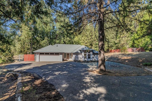 16689 Silver Pine Rd, Pioneer, CA 95666