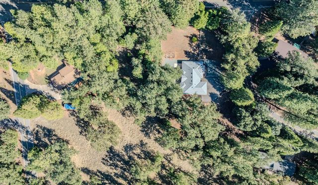 16689 Silver Pine Rd, Pioneer, CA 95666