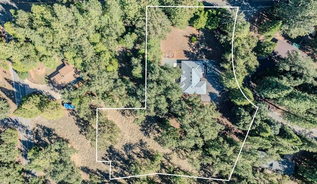 16689 Silver Pine Rd, Pioneer, CA 95666