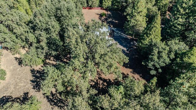 16689 Silver Pine Rd, Pioneer, CA 95666