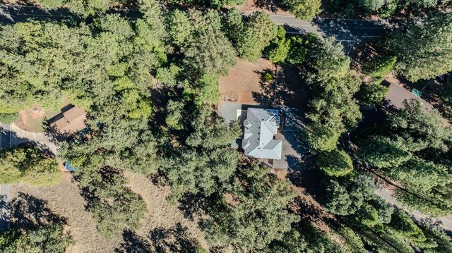 16689 Silver Pine Rd, Pioneer, CA 95666
