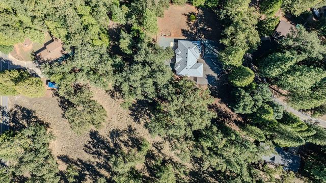 16689 Silver Pine Rd, Pioneer, CA 95666