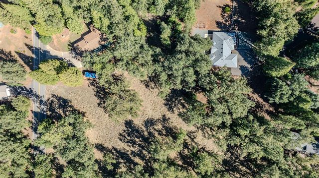 16689 Silver Pine Rd, Pioneer, CA 95666