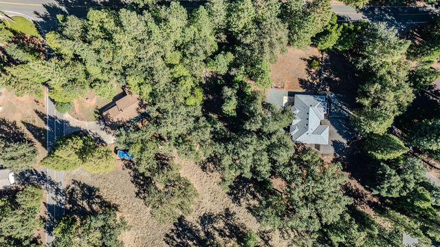 16689 Silver Pine Rd, Pioneer, CA 95666