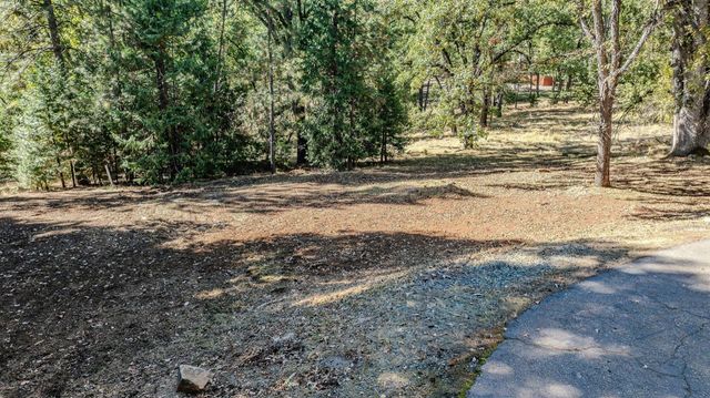 16689 Silver Pine Rd, Pioneer, CA 95666