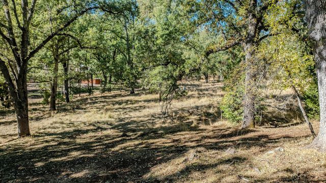 16689 Silver Pine Rd, Pioneer, CA 95666