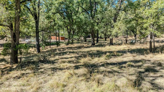 16689 Silver Pine Rd, Pioneer, CA 95666
