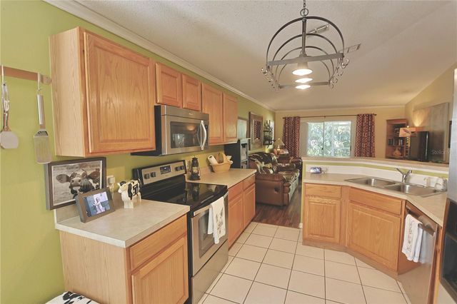 24809 RAVELLO STREET, Land O Lakes, FL 34639