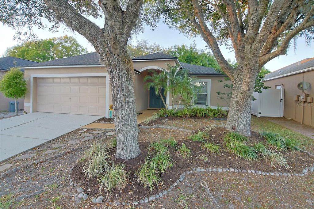 24809 RAVELLO STREET, Land O Lakes, FL 34639