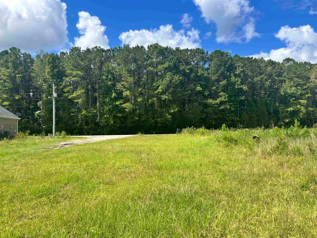 935 Suggs St., Loris, SC 29569 — photo 2