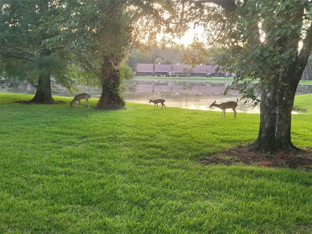 3451 MERMOOR DRIVE, Palm Harbor, FL 34685