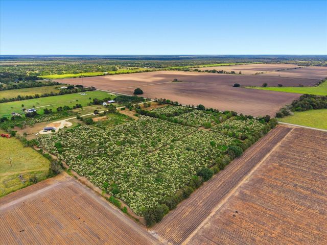 Lot 7 Cow Creek Road, Damon, TX 77430