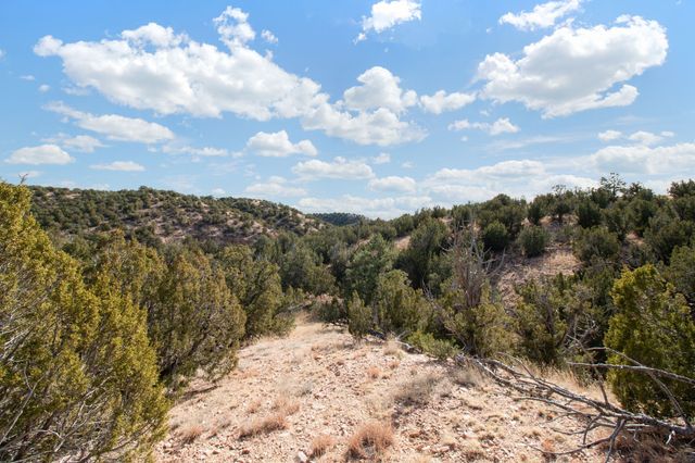 19 Del Charro, Lamy, NM 87540