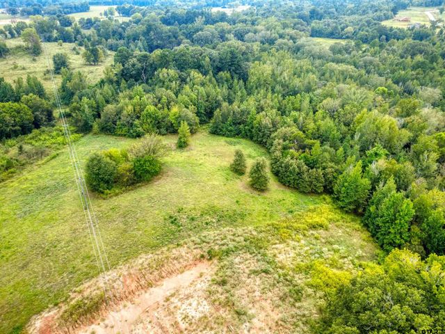 Lot 32 Creek Bottom Ct, Winona, TX 75792