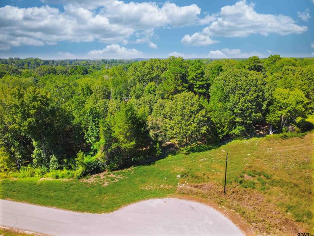Lot 32 Creek Bottom Ct, Winona, TX 75792