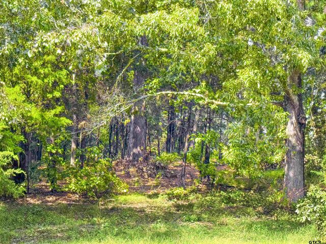 Lot 32 Creek Bottom Ct, Winona, TX 75792