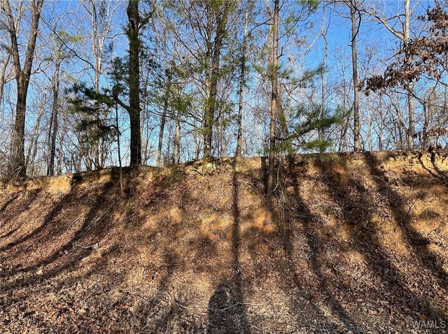 0000 Lake Lurleen, Coker, AL 35452