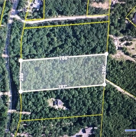 0000 Lake Lurleen, Coker, AL 35452