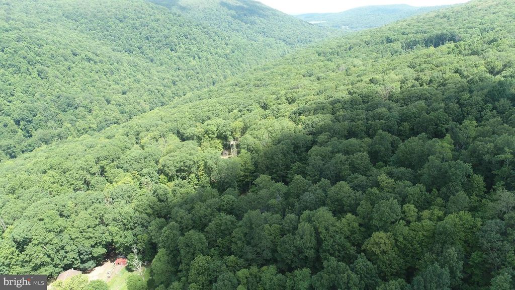 Image 20 of property listing at 8760 OAKLAND SANG RUN RD, Oakland, MD 21550