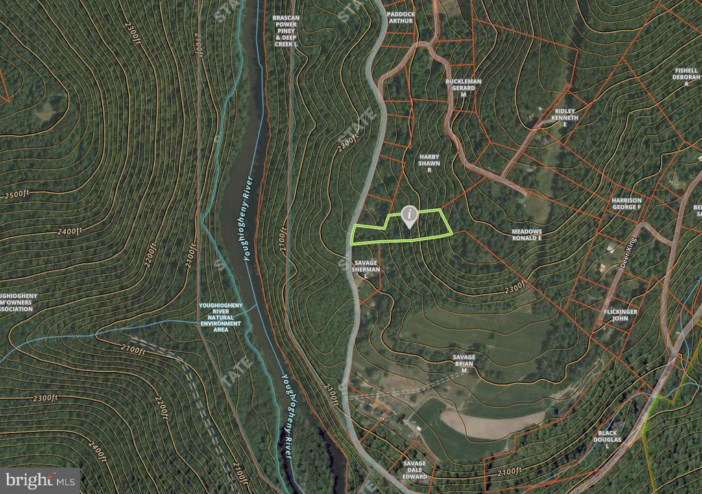 Image 26 of property listing at 8760 OAKLAND SANG RUN RD, Oakland, MD 21550