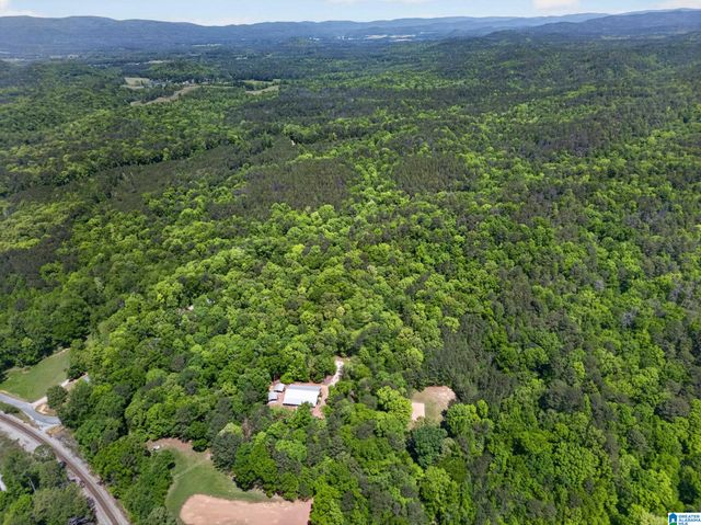 209 ANGEL ROAD, Anniston, AL 36207