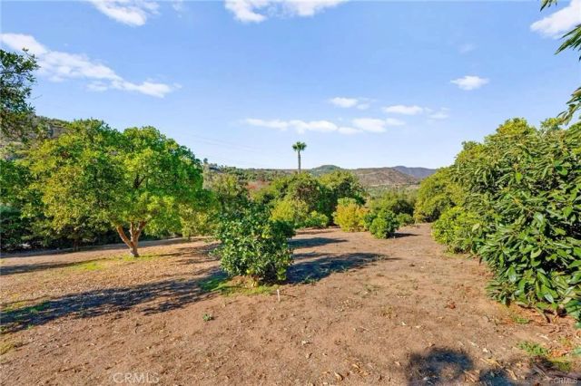 3945 Pala Mesa, Fallbrook, CA 92028