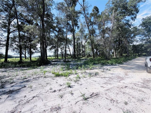 SW 150TH STREET, Dunnellon, FL 34432