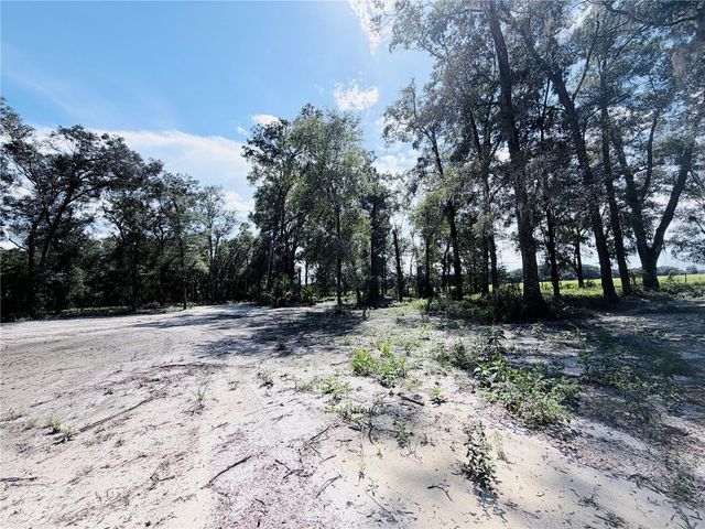 SW 150TH STREET, Dunnellon, FL 34432