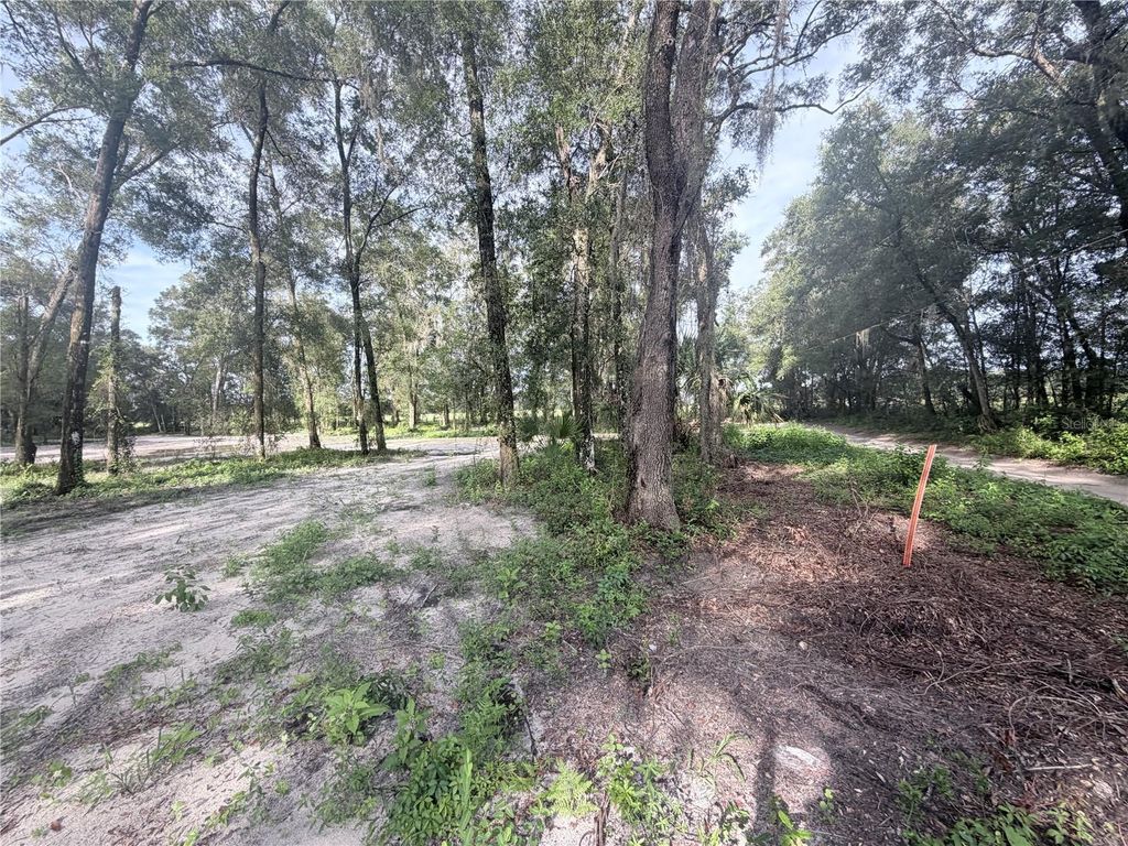 SW 150TH STREET, Dunnellon, FL 34432