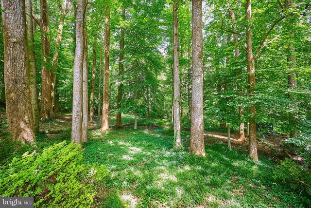 6506 OAKWOOD DR, Falls Church, VA 22041