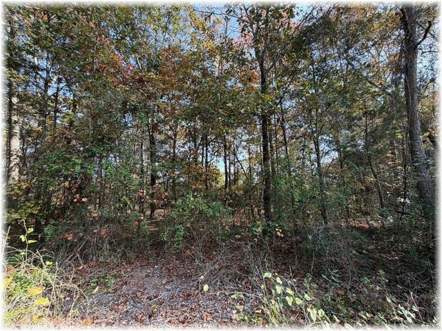 000 Grant Road, Westminster, SC 29693