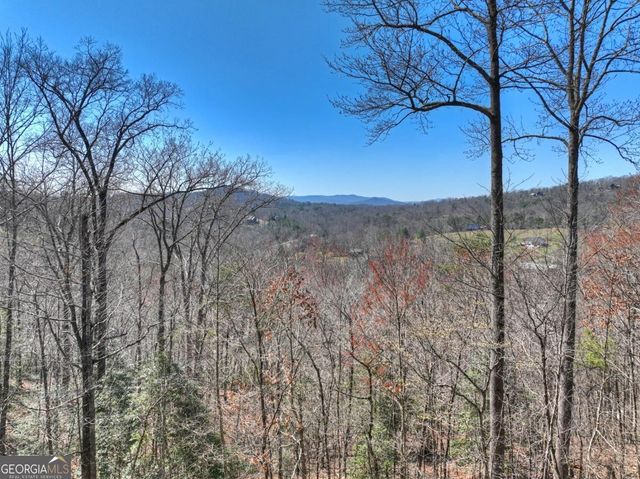 195 Trina Lane 135, Blue Ridge, GA 30513