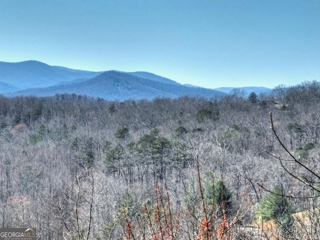 195 Trina Lane 135, Blue Ridge, GA 30513