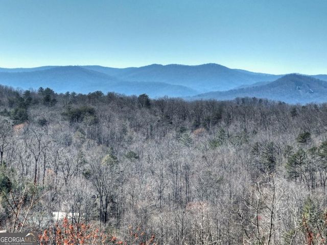 195 Trina Lane 135, Blue Ridge, GA 30513