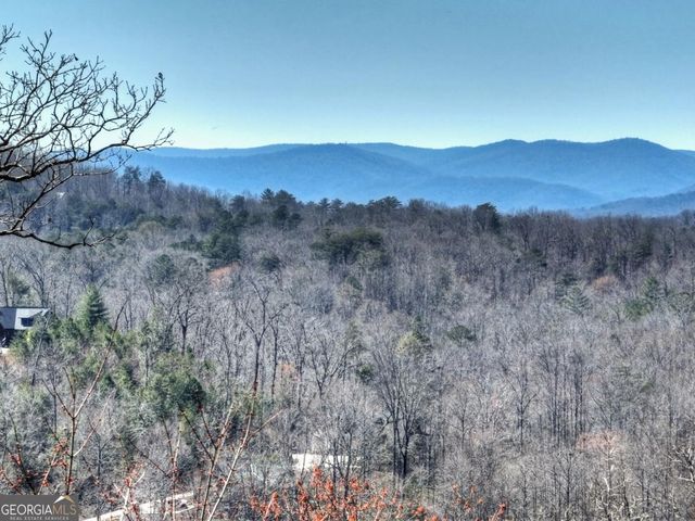 195 Trina Lane 135, Blue Ridge, GA 30513