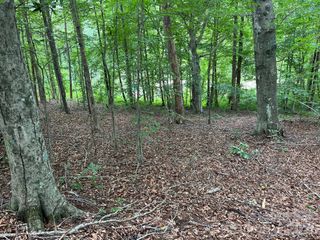 V/L Moore Branch Drive, Nebo, NC 28761