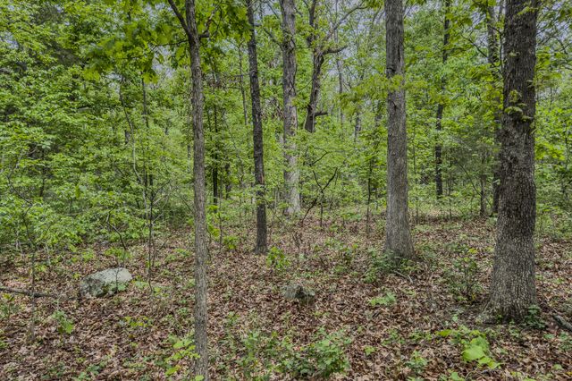 000 Pandamonium Way, Pittsburg, MO 65724