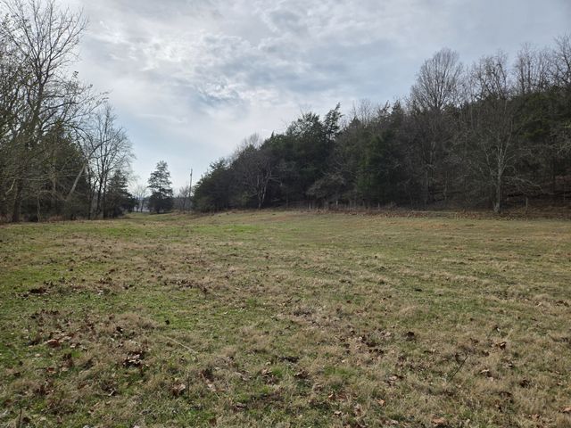 329 Cavender Rd, Woodbury, TN 37190