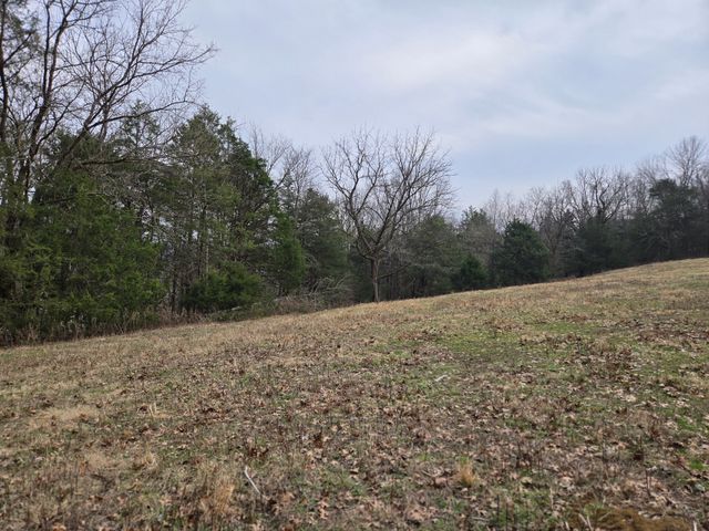 329 Cavender Rd, Woodbury, TN 37190