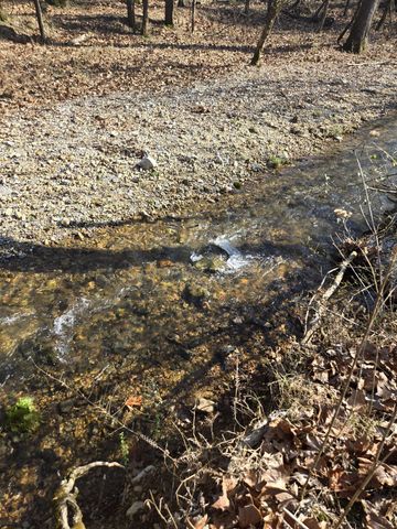 329 Cavender Rd, Woodbury, TN 37190