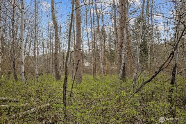 0 Westside Rd - Parcel 10577, Cle Elum, WA 98922