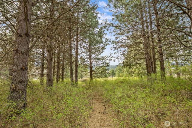 0 Westside Rd - Parcel 10577, Cle Elum, WA 98922